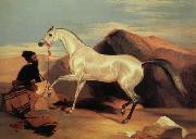 Sir Edwin Landseer Arab stable ion Spain oil painting artist